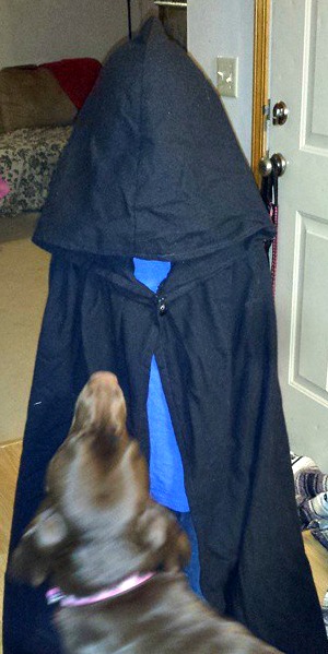 I decided to pull out some old costumes. C-Dog was loving Mark's cloak but Sunny was a bit leery. 